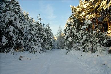 豪鬼登场 《街头霸王6》第一年DLC角色预告片欣赏